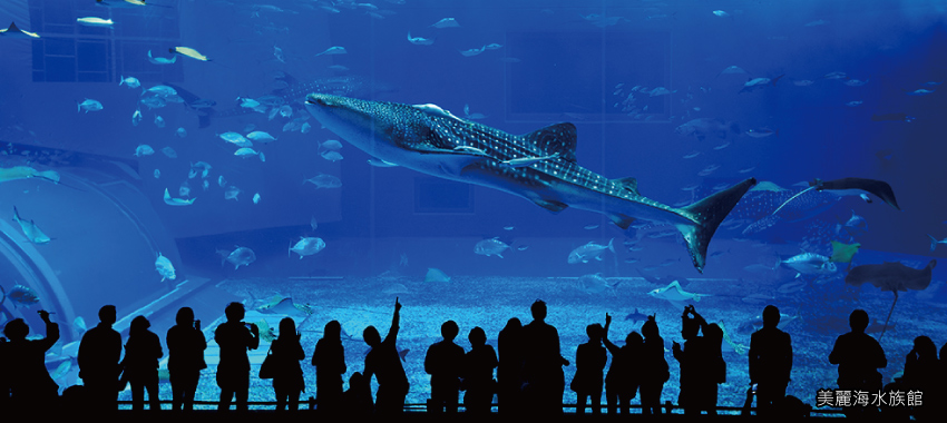 沖繩海洋博紀念公園．美麗海水族館